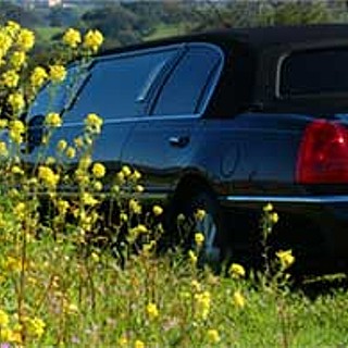 A Limo Tour of the Napa Valley Wineries