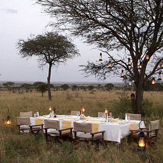 Out of Africa