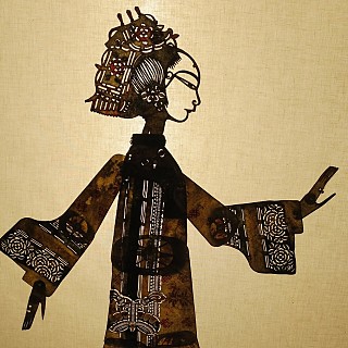 Shadow Puppet Play
