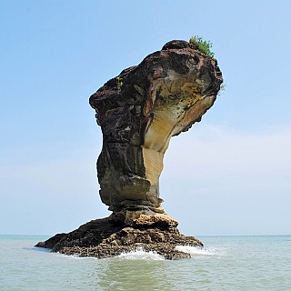 Orgainsed Tour of Bako National Park
